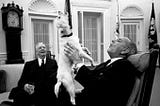 7 Weird Presidential Photos I like to show to people who aren't History Nerds