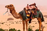 [GET] EBOOK EPUB KINDLE PDF Lonely Planet Jordan (Travel Guide) by Jenny Walker & Paul Clammer 🖋️