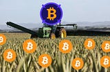 BTC Proxy’s Bitcoin Farming Live 11th August 2pm UTC time!