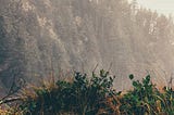 Analysis of Global Suicide Rates