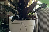 My Kintsugi DIY Project