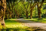 Report Shows Children That Grow Up Near Green Spaces Have Healthier Lungs
