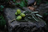How to Remember God Unconsciously — My Olive Tree Story