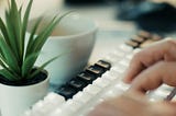 A picture of someone’s hands on a keyboard with a plant.