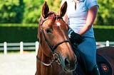 A Night Trail Ride