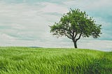 The Power of Compound Interest and How to Harness It