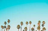 A row of palm trees on a blue sky