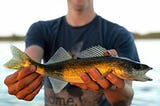 What Gear Do I Need for Walleye Fishing in Canada?