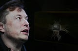 What Is Inside Elon Musk’s Custom Semiconductor
