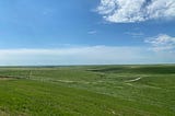 What About the Plains and Prairies?
