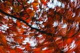 November Sucked
