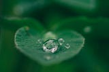 The Caregiver’s Guide to Well-Being
