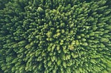 What is ESG and why is it important?