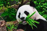 Pandas for Data Analysis