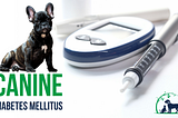 Canine Diabetes: Causes, Symptoms, Diagnosis & Treatment