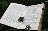 I Read Over 100 Non-Fiction Books Every Year. These 10 Books Have Changed my Life
