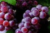 Does Resveratrol Improve Mammalian Lifespan?