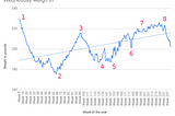 Losing weight with ChatGPT : His master’s voice