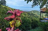 Exploring Colombia