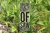 8 Amazing Health Benefits Of Saw Palmetto