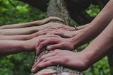 Hands laid upon the trunk of the Tree of Life, Etz Chaim.