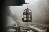 A General Theory of Oblivion