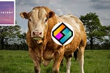 5 Reasons why I am bullish on the future of LBC