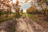 Along a Quiet Dirt Road