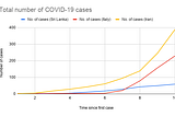 A brief outlook on COVID-19