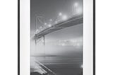 15-4-x-21-4-matted-to-11-x-17-thin-metal-gallery-frame-black-project-63