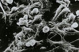 How AI Is Revolutionizing Diagnosis, Drug Discovery, and Patient Outcomes