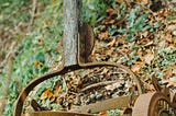 Mowing a Lawn