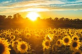 The Sunshine Blogger Award