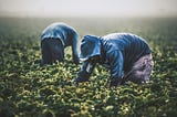 Seeing Both Sides of the Immigration Issue