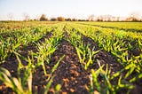 Many economic, social, and environmental problems stem from a lack of transparency within supply…