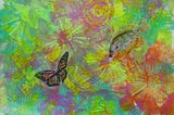 Dream Reflection of Butterfly by Connie Livingston-Dunn