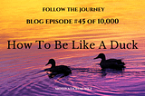 How To Be Like A Duck