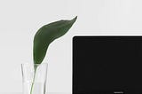 Unleashing Potential with the HP Pavilion Plus 14: A Game Changer for AI Enthusiasts