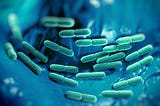 Soulagez vos intestins grâce à ces milliards de soldats microscopiques