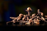 Benefits of Cloves Sexually: Exploring Nature’s Aphrodisiac