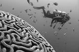 Enhancing Virtues: Intelligence (Part 2)