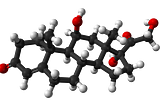 What does cortisol do to the body and all you need to know about cortisol