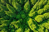 Jackets-Green-1