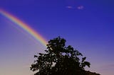 Silhouette of a wide tree in the lower center with a rainbow shooting from the center-left of the tree off to the top left corner. Deep blue sky to the right of the rainbow with a lighter whiter sky to the left of the tree and also on the lower right horizon.