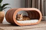 Cat-Tunnel-Bed-1