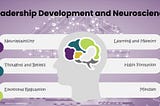 The Impact Of Neuroscience On Leadership Development