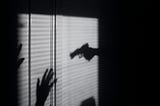 Your First Five Crime Studies of September 14