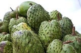 Soursop Bitters For Improved Health