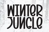 Winter Jungle Font 1