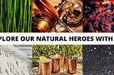 Explore Our Natural Heroes— Enable Nature
